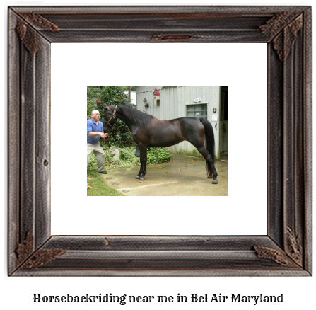 horseback riding near me in Bel Air, Maryland